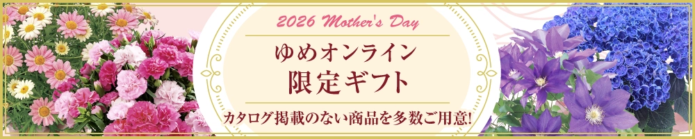 ゆめオンライン限定ギフト