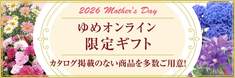 ゆめオンライン限定ギフト