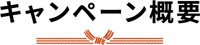 キャンペーン概要