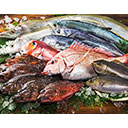 鮮魚詰め合わせBOX