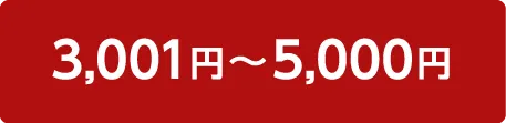 3001円～5000円
