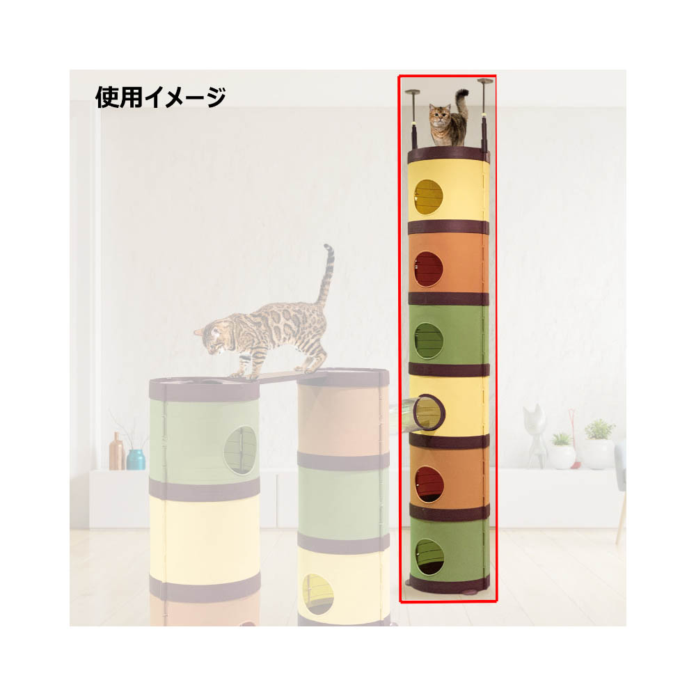 キャティーマン CATTOWERMANSiON(キャットタワーマン ション)