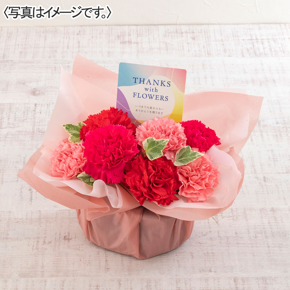アレンジメント「サンクスマムピンク」