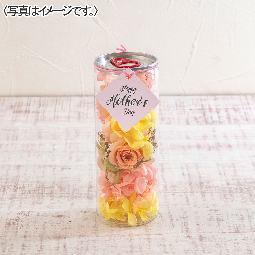 ボトルプリザ&井桁堂「ガトープルポ」セット