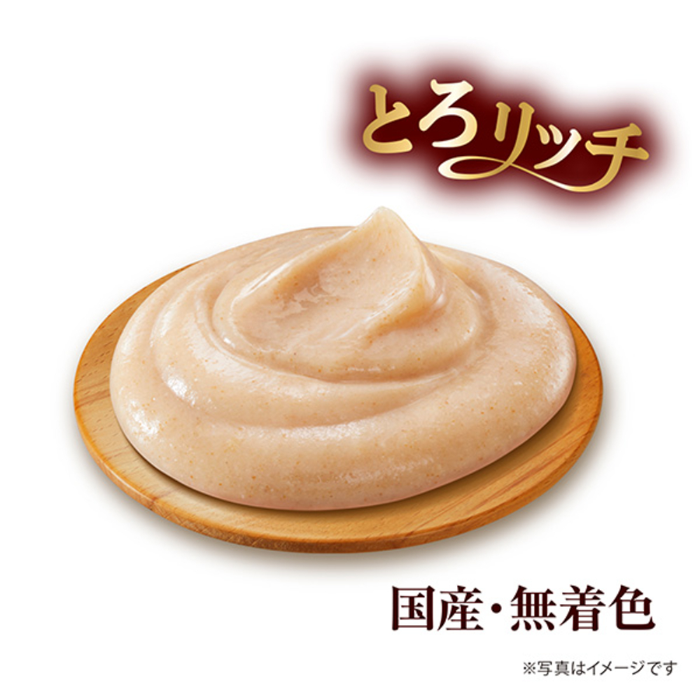 銀のスプーン 三ツ星グルメ おやつにっぽんselect無添加とろリッチ3種のお魚味アソート108g