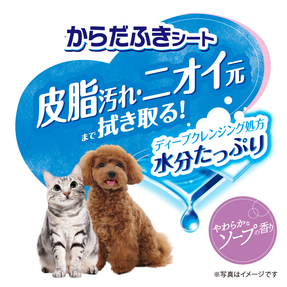 デオクリーン からだふきシート 小型犬用香り 大判