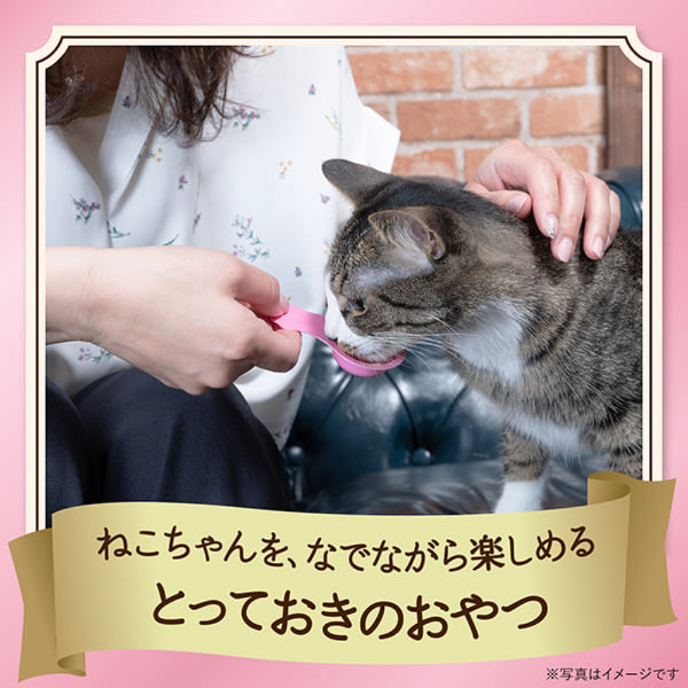 銀のスプーン 三ツ星グルメ おやつにゃんspoon2種のアソートまぐろ&鶏ささみ味200g