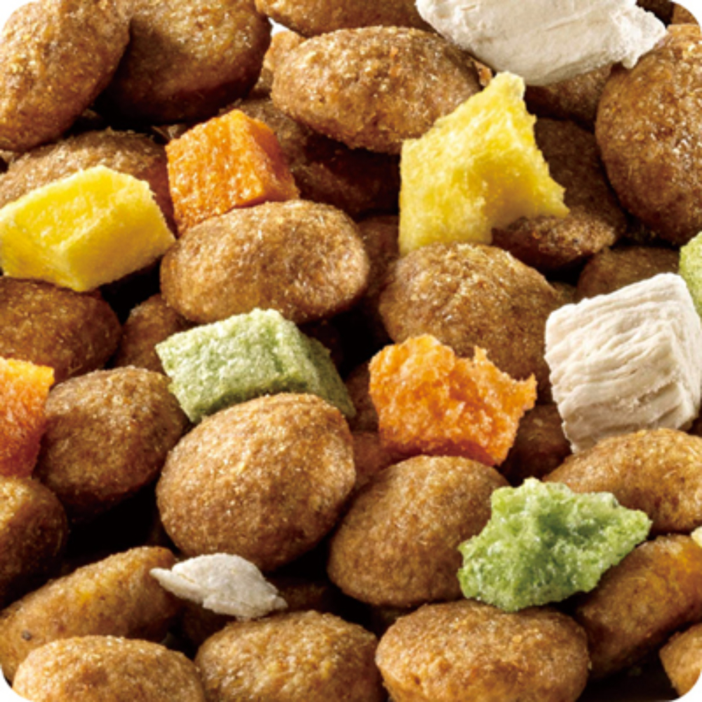 コンボピュアドッグ国産鶏肉・野菜入り600g