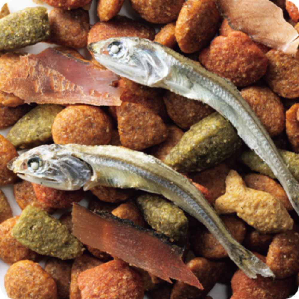 コンボキャットまぐろ味・かつお節・小魚添え700g