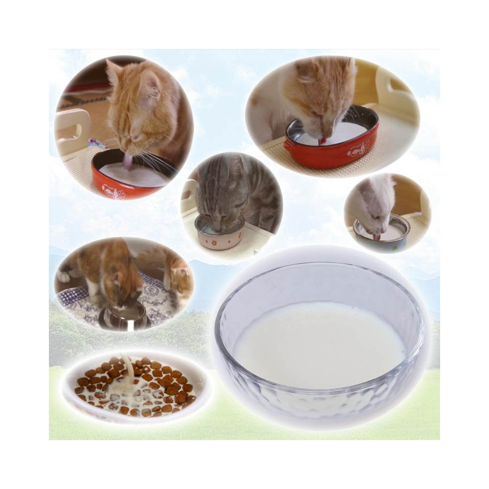 キャティーマン ねこちゃんの国産低脂肪牛乳200ML