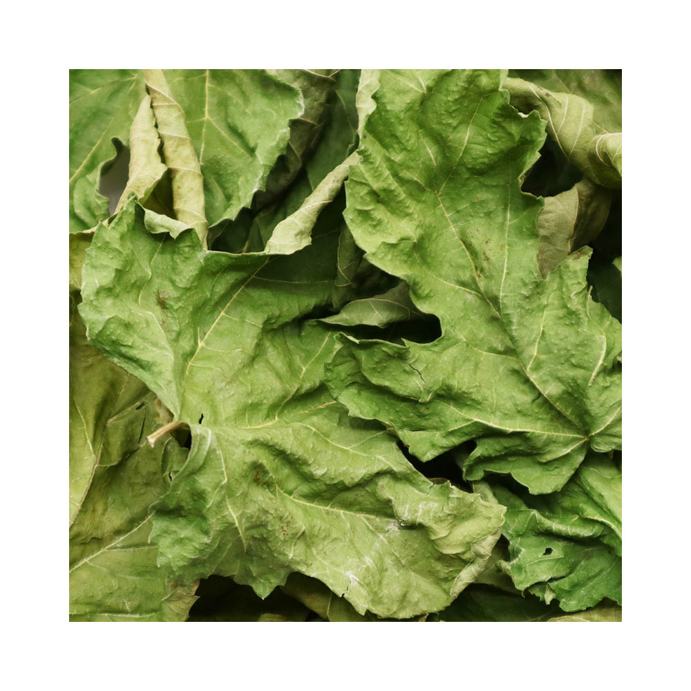 PRO スペシャリーフ 桑の葉12g