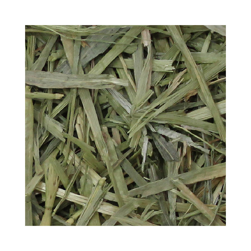 パスチャーオーツヘイ400g