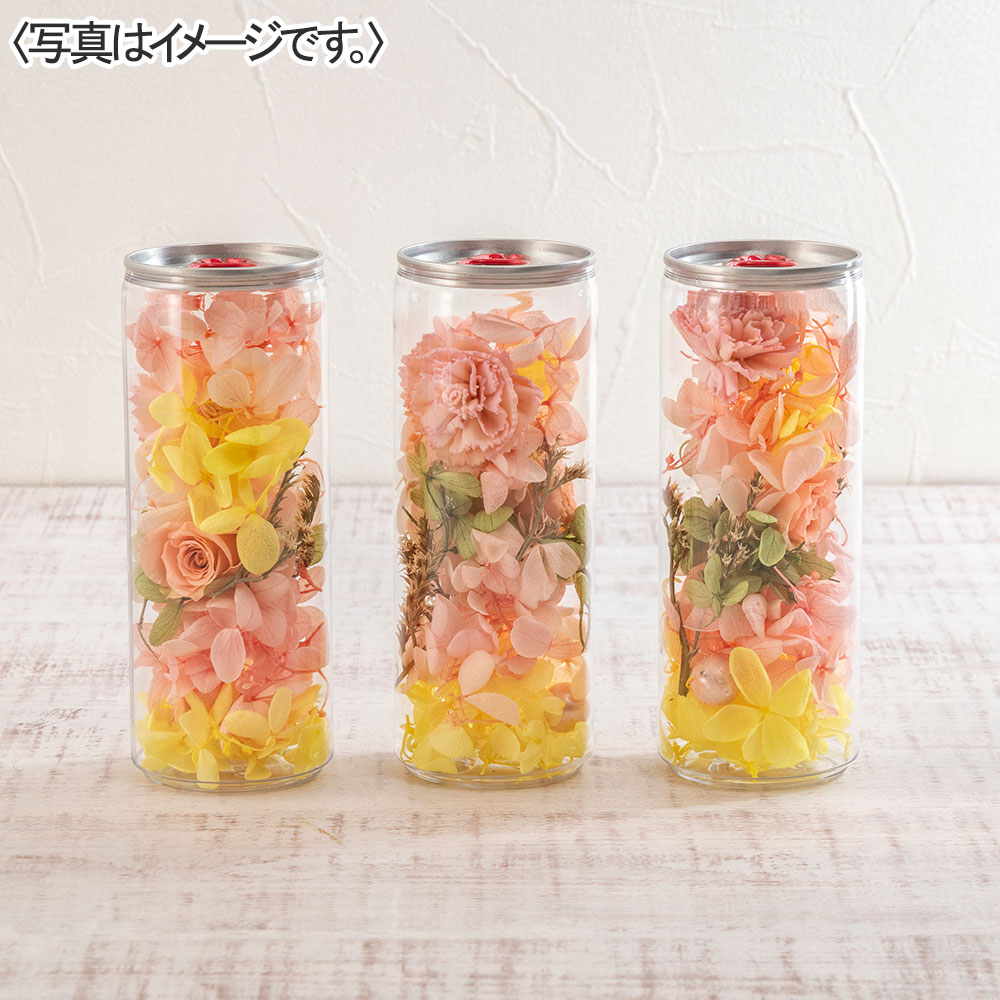 ボトルプリザ&井桁堂「ガトープルポ」セット