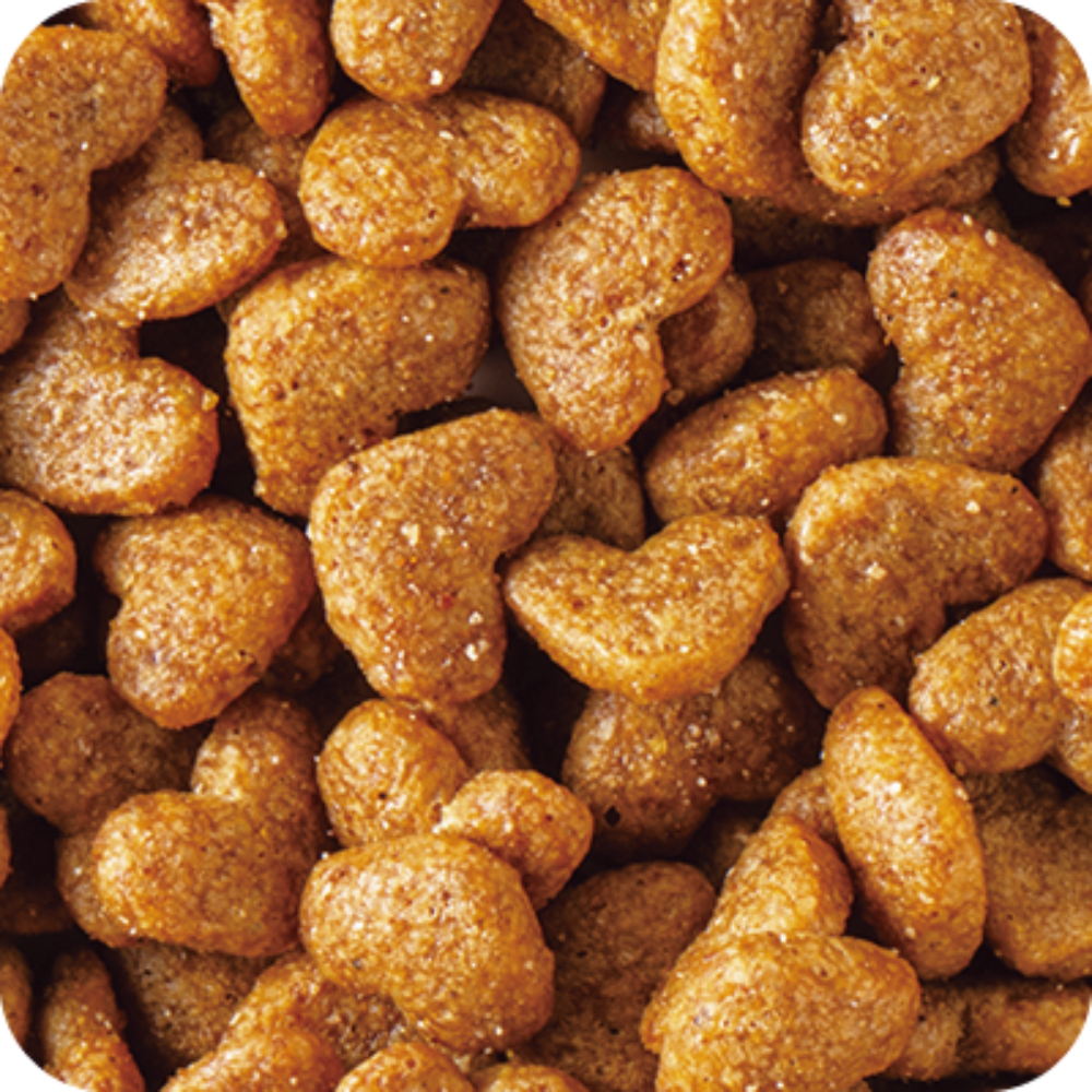 ビューティープロ キャット ダブルケア 下部尿路・腎臓の健康1.2kg