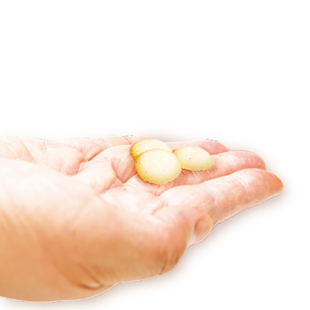 プチクリスプ 乳酸菌入り40g