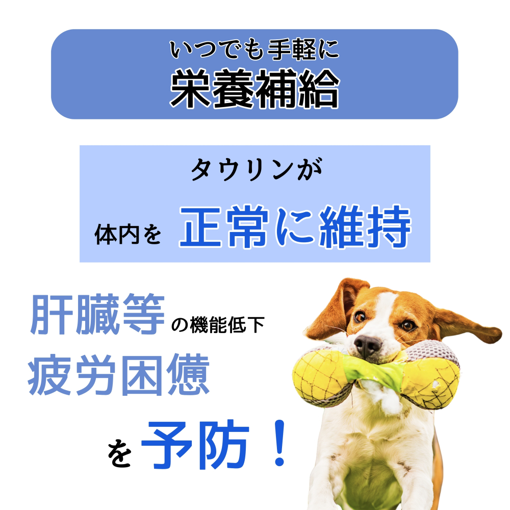 わんわんカロリー パワー275mL