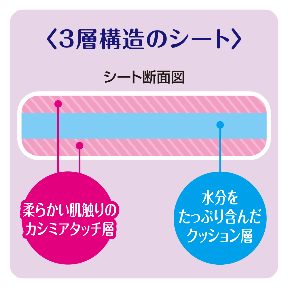 デオクリーン からだふきシート 小型犬用香り 大判