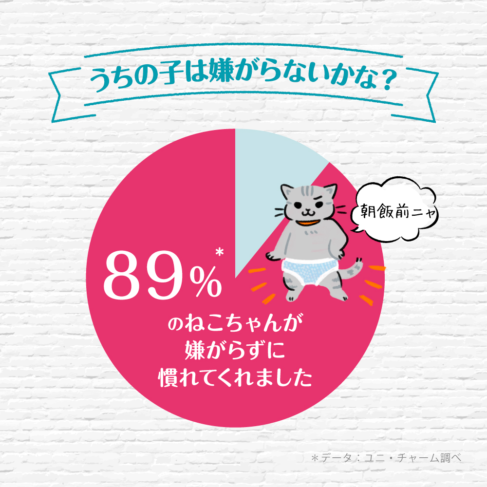 マナーウェア ねこ用 Mサイズ36枚