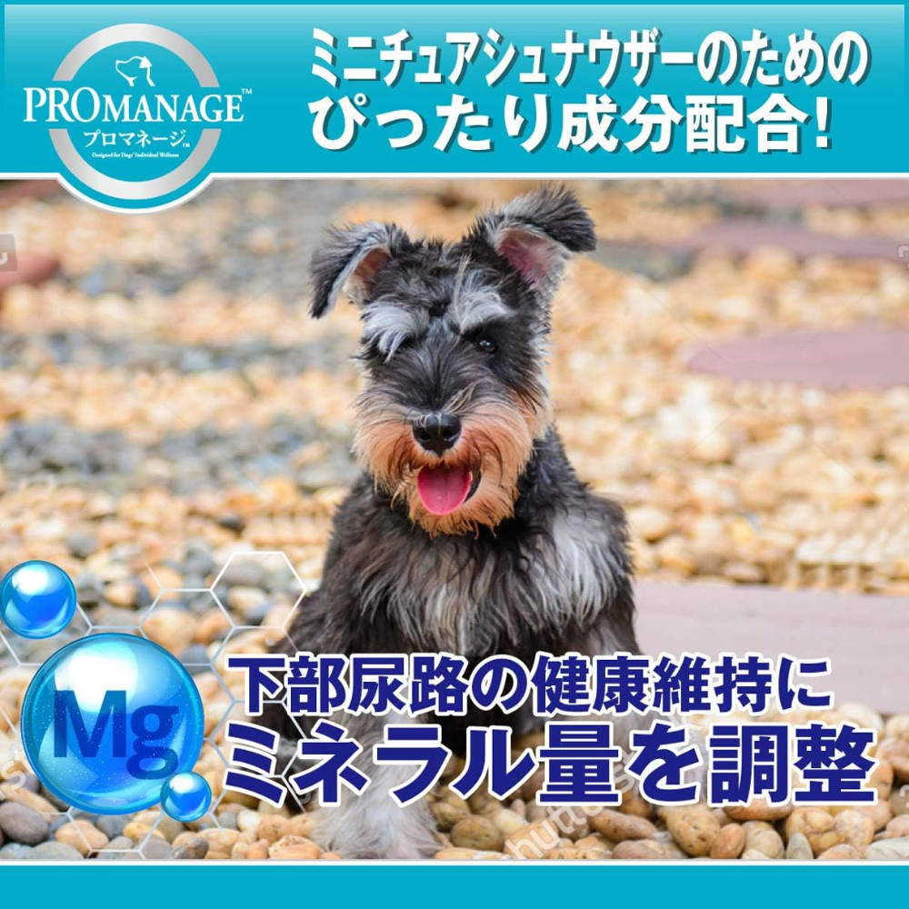 プロマネージ 成犬用 ミニチュアシュナウザー専用1.7kg