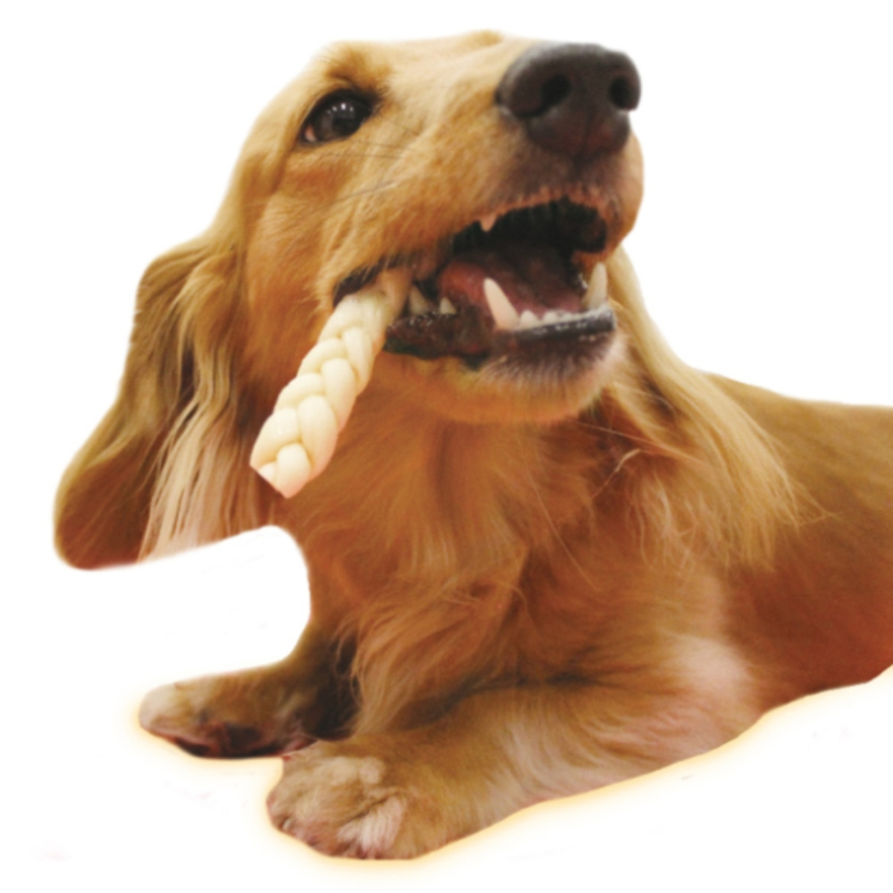 無添加良品 チューイングコラーゲン ロープ10本