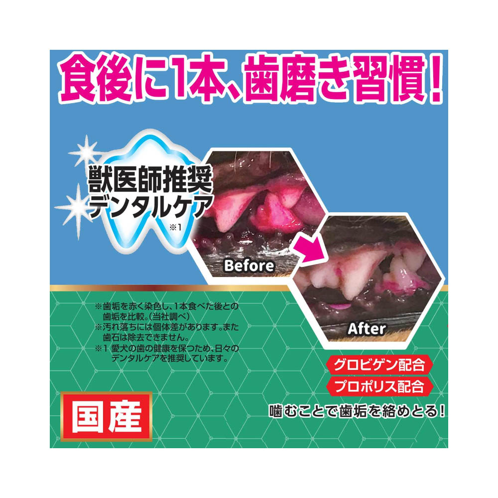 ドギーマン ホワイデント S20本