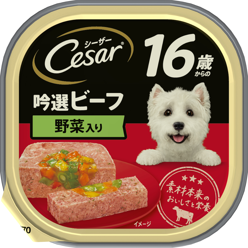 シーザー　１６歳からの　吟選ビーフ　野菜入り１００ｇ