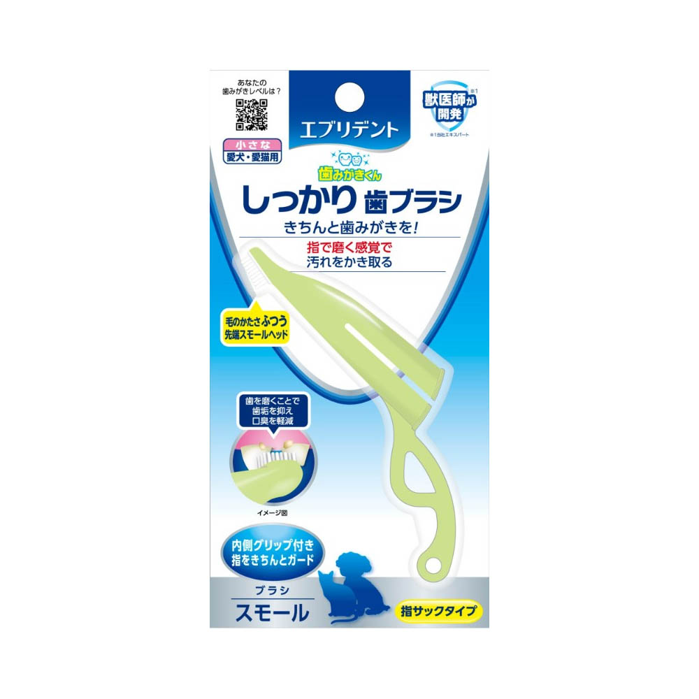 エブリデント　しっかり歯ブラシ　スモール1本