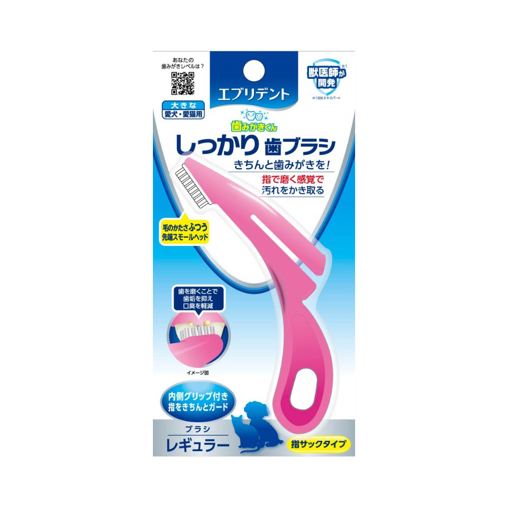 エブリデント　しっかり歯ブラシ　レギュラー1本