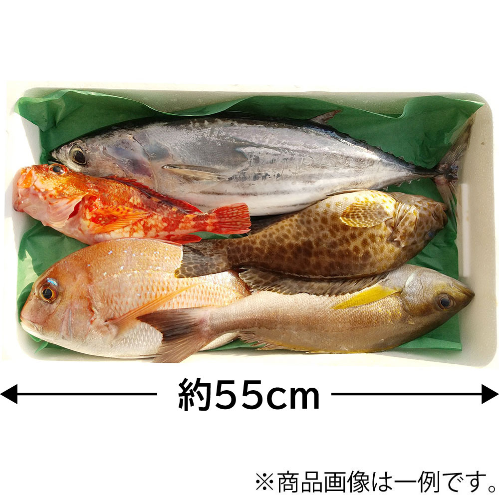 産地直送 鮮魚セット「和」