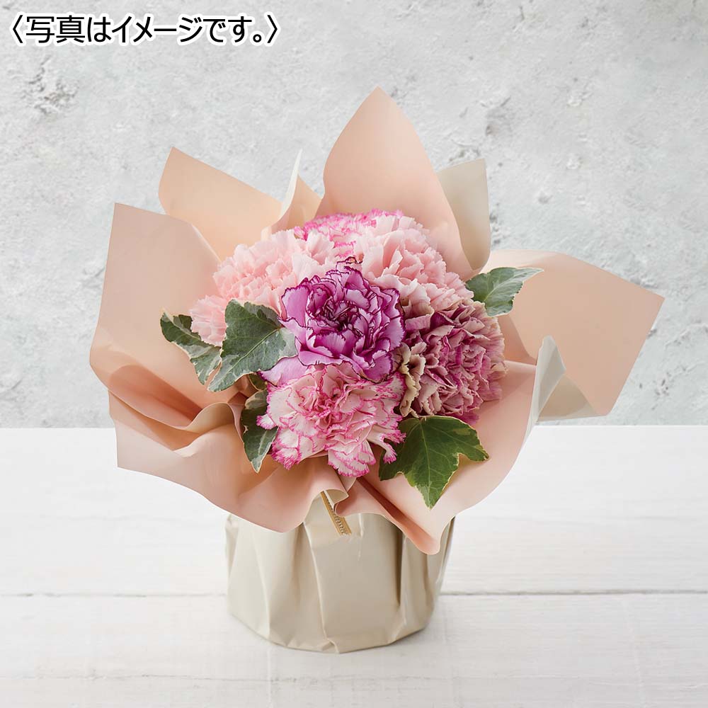 スタンディングブーケ「ニュアンスカラーピンク」