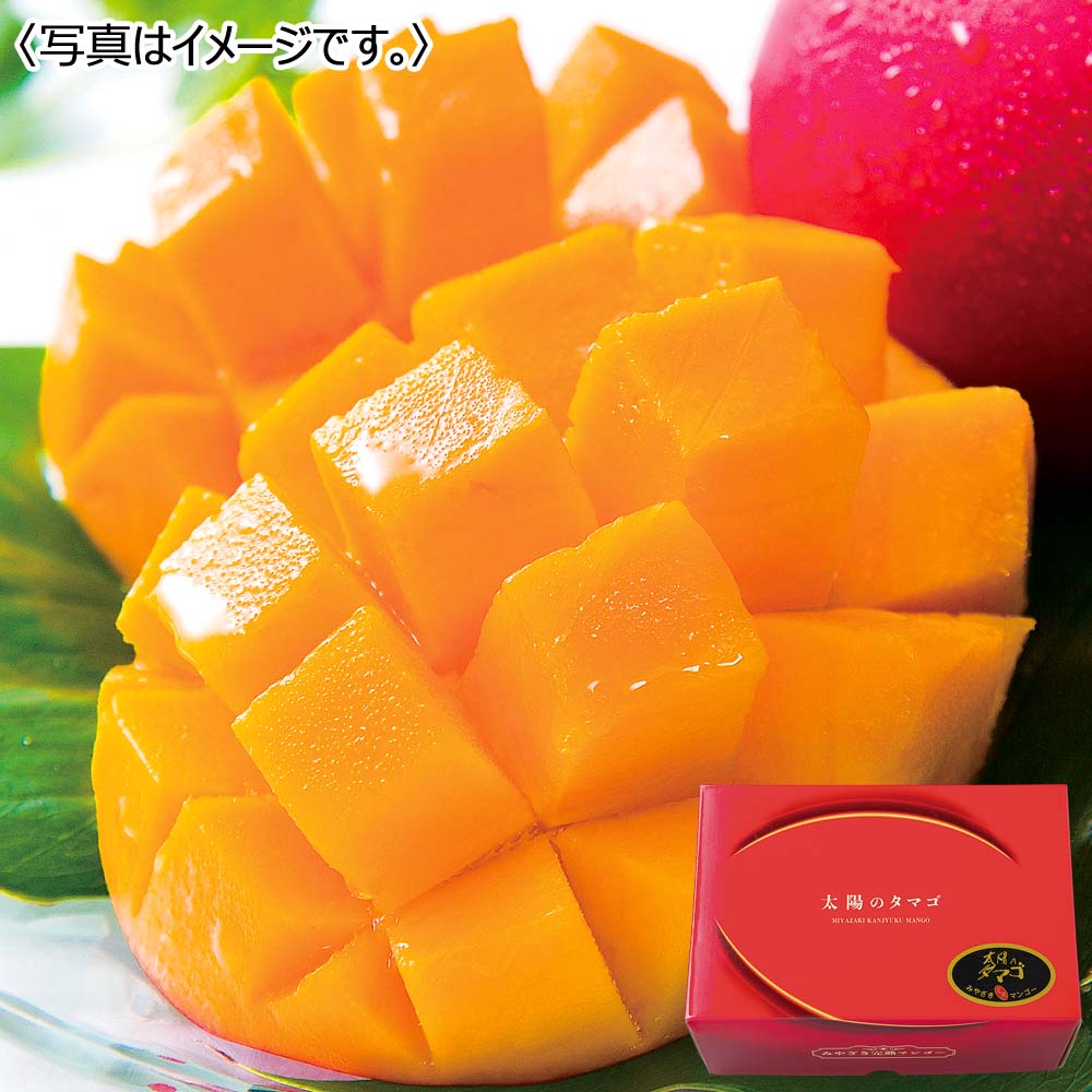 宮崎県産 太陽のタマゴ