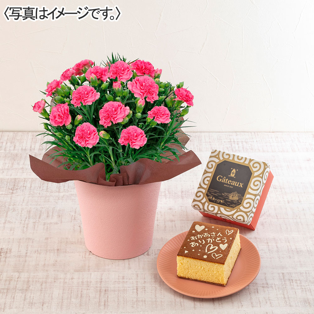 カーネーション(ピンク)&長崎堂「絵柄入りカステーラ」セット