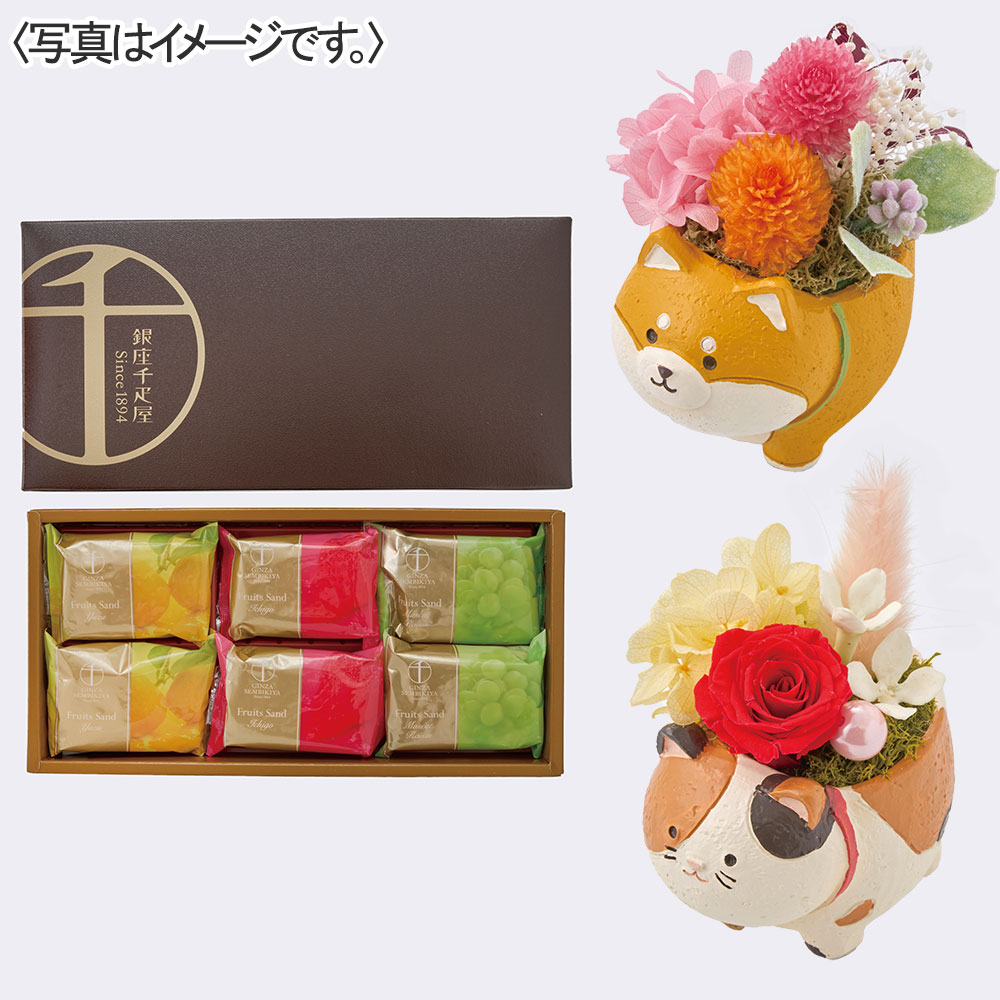 【限定200セット】アニマルプリザと「銀座千疋屋」銀座フルーツサンド