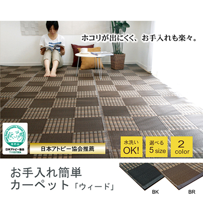 【送料込み】洗える PPカーペット『ウィード』