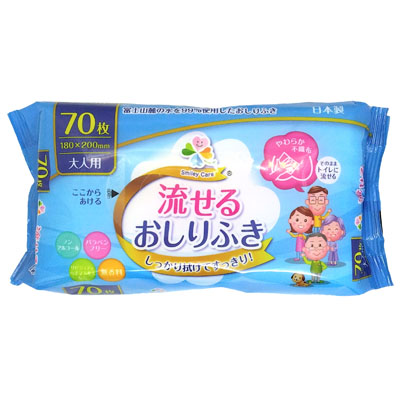 大一紙工　大人用流せるおしりふき　70枚