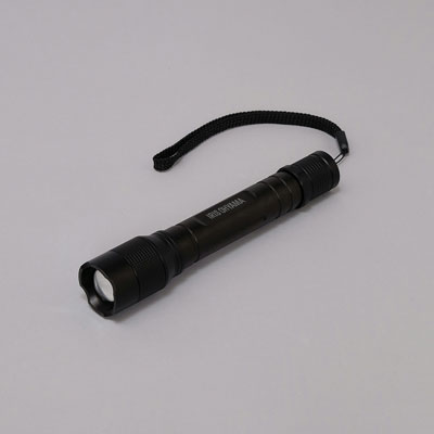 【送料込み】アイリスオーヤマ　LEDハンディライト　200lm　ズーム機能付き