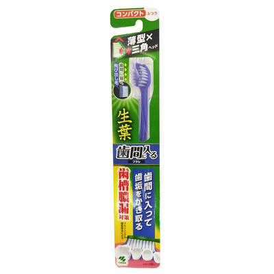 小林製薬　生葉　歯間に入るブラシ　コンパクト　ふつう