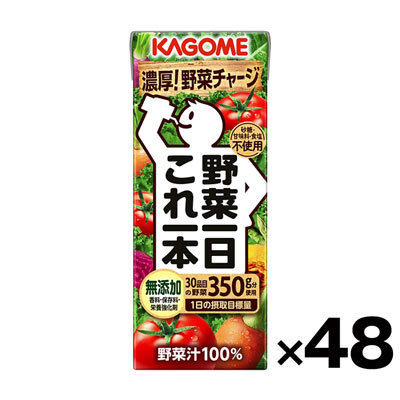 【ケース販売】野菜一日これ一本　200ml×48本