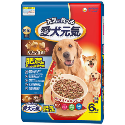 愛犬元気　肥満が気になる愛犬用ビーフ・ささみ・緑黄色野菜・小魚入り６ｋｇ