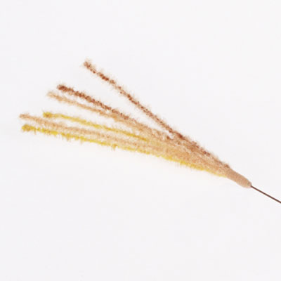 じゃれ猫　猫のお遊びススキ草　１本