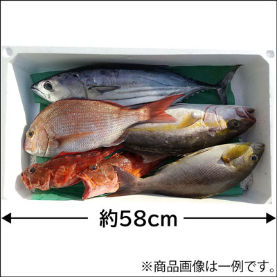 産地直送　鮮魚セット「鶴」