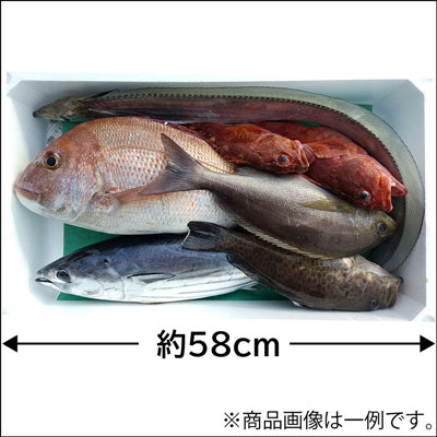 産地直送　鮮魚セット「極」