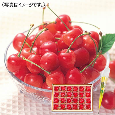 佐藤錦&カーネーション