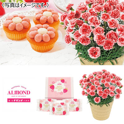 カーネーション(いちごホイップ)&「六本木アマンド」あまおう苺のフラワーケーキ