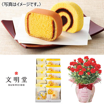 【限定150セット】カーネーション(赤)&「文明堂東京」ふみだより