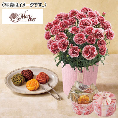 【限定200セット】カーネーション(いちごホイップ)&「パティスリーモンシェール」エタニティーローズ