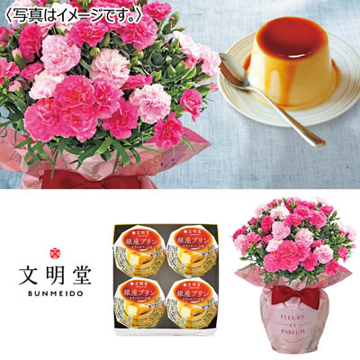 【限定50セット】カーネーション(ホットハート)&「文明堂東京」銀座プリン