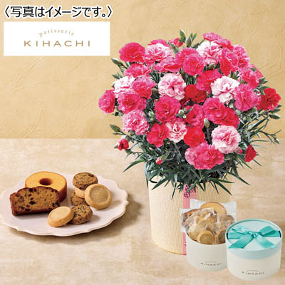 【限定200セット】カーネーション(さくらもなか)&「パティスリー キハチ」アソートBOX