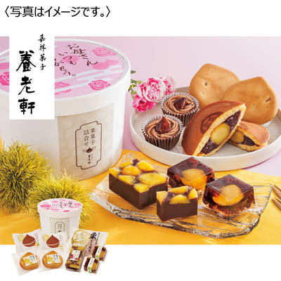 京都 養老軒 栗菓子詰合せ