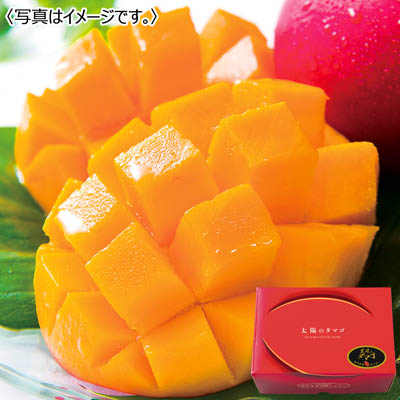 宮崎県産 太陽のタマゴ